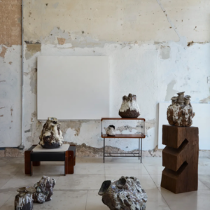 Cerâmica e Porcelana: Diferenças e Técnicas no Design Artesanal