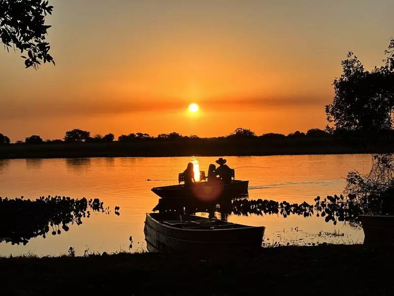 Viagem sustentável no Pantanal: viva a experiência sem deixar rastros